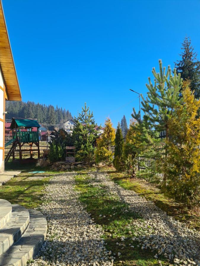 Chalet 888 Cottages Palyanytsya Εξωτερικό φωτογραφία
