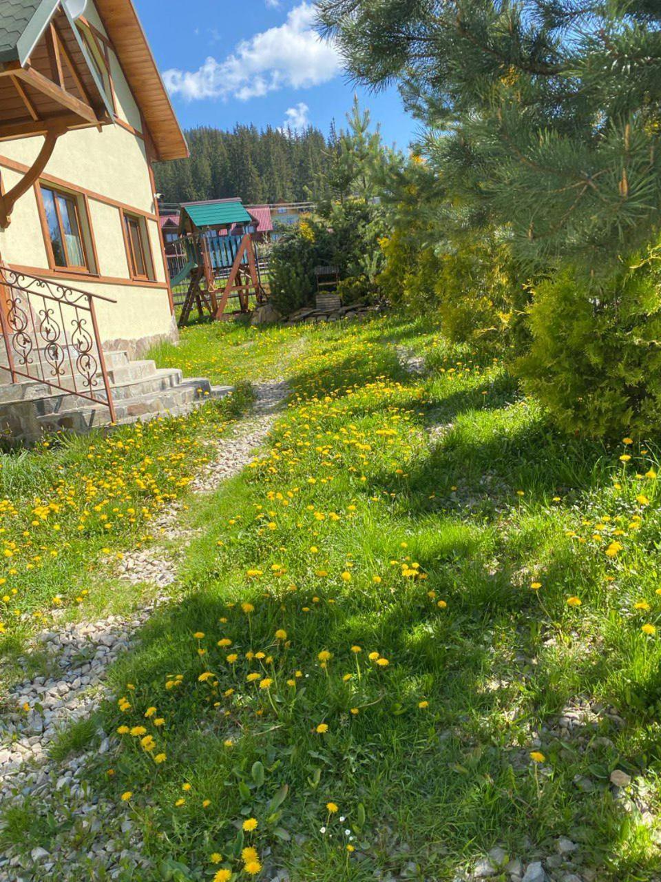 Chalet 888 Cottages Palyanytsya Εξωτερικό φωτογραφία